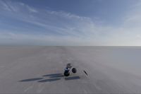 cgib_SCE_S0001076_05