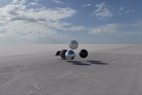 cgib_SCE_S0001075_03