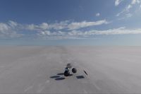 cgib_SCE_S0001075_05