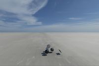 cgib_SCE_S0001070_05