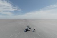 cgib_SCE_S0001066_05