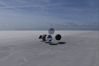 cgib_SCE_S0001061_03