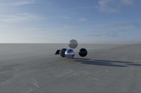 cgib_SCE_S0001077_02