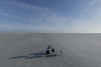 cgib_SCE_S0001077_04