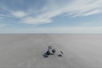 cgib_SCE_S0001073_05