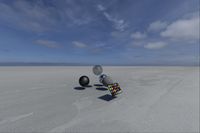 cgib_SCE_S0001062_06