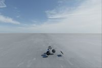 cgib_SCE_S0001064_04