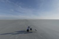 cgib_SCE_S0001078_04