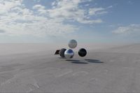 cgib_SCE_S0001074_03