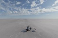 cgib_SCE_S0001074_05