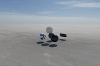 cgib_SCE_S0001072_04