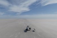 cgib_SCE_S0001072_05