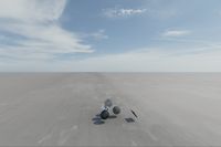 cgib_SCE_S0001069_05