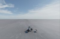 cgib_SCE_S0001065_05