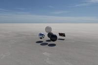 cgib_SCE_S0001071_04