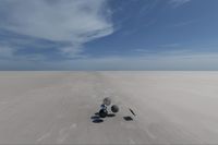 cgib_SCE_S0001071_05