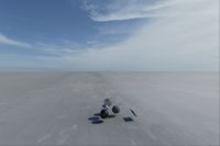 cgib_SCE_S0001063_05