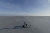 cgib_SCE_S0001079_05