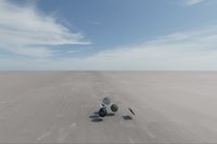 cgib_SCE_S0001068_05