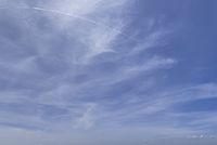 cgib_SCE_S0001054_01