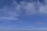 cgib_SCE_S0001054_02