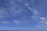 cgib_SCE_S0001054_03