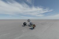 cgib_SCE_S0001067_06